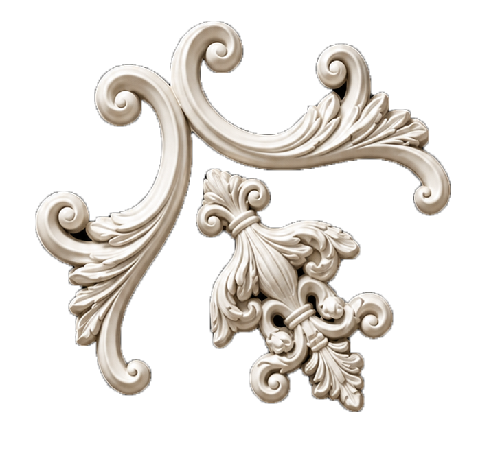 WAINSCOTING FLOWER - Image 3
