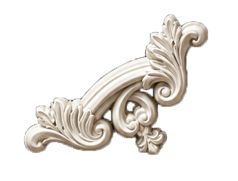 WAINSCOTING FLOWER - Image 4