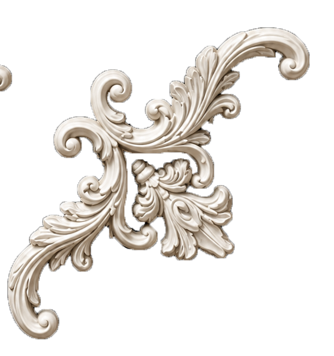 WAINSCOTING FLOWER - Image 5