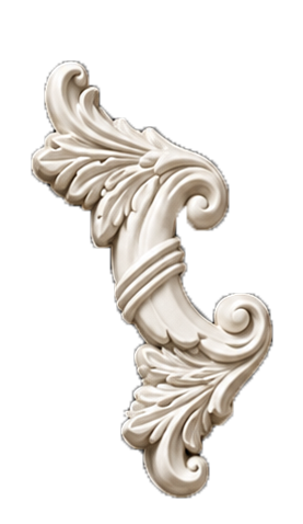 WAINSCOTING FLOWER - Image 6
