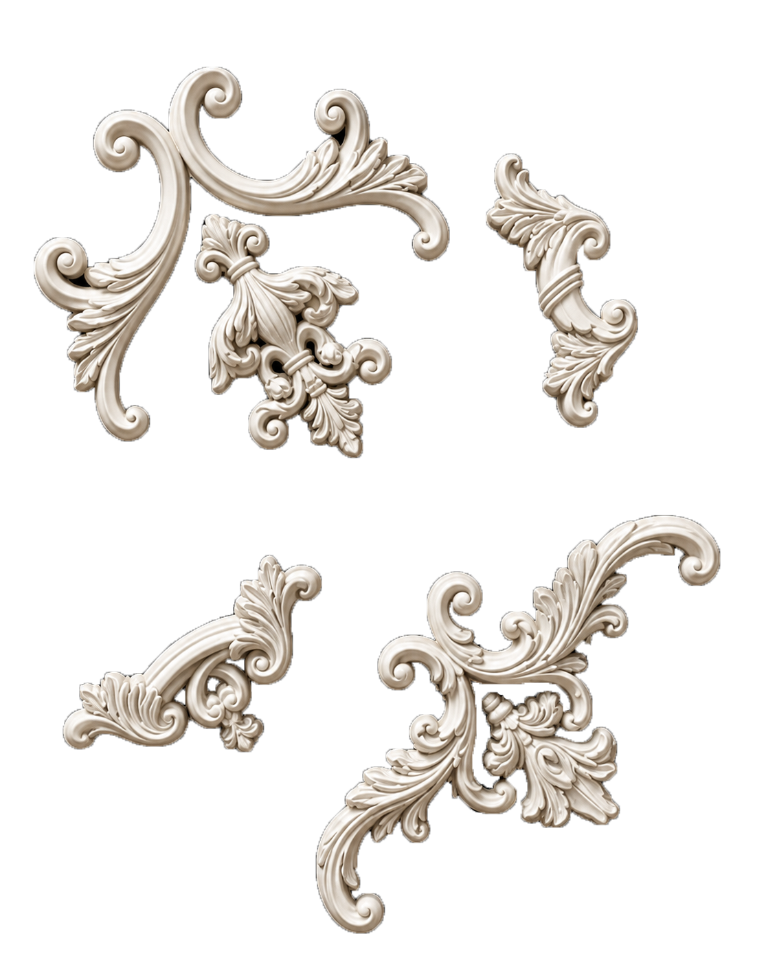 WAINSCOTING FLOWER - Image 2